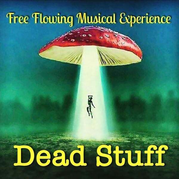 Cover art for Dead Stuff